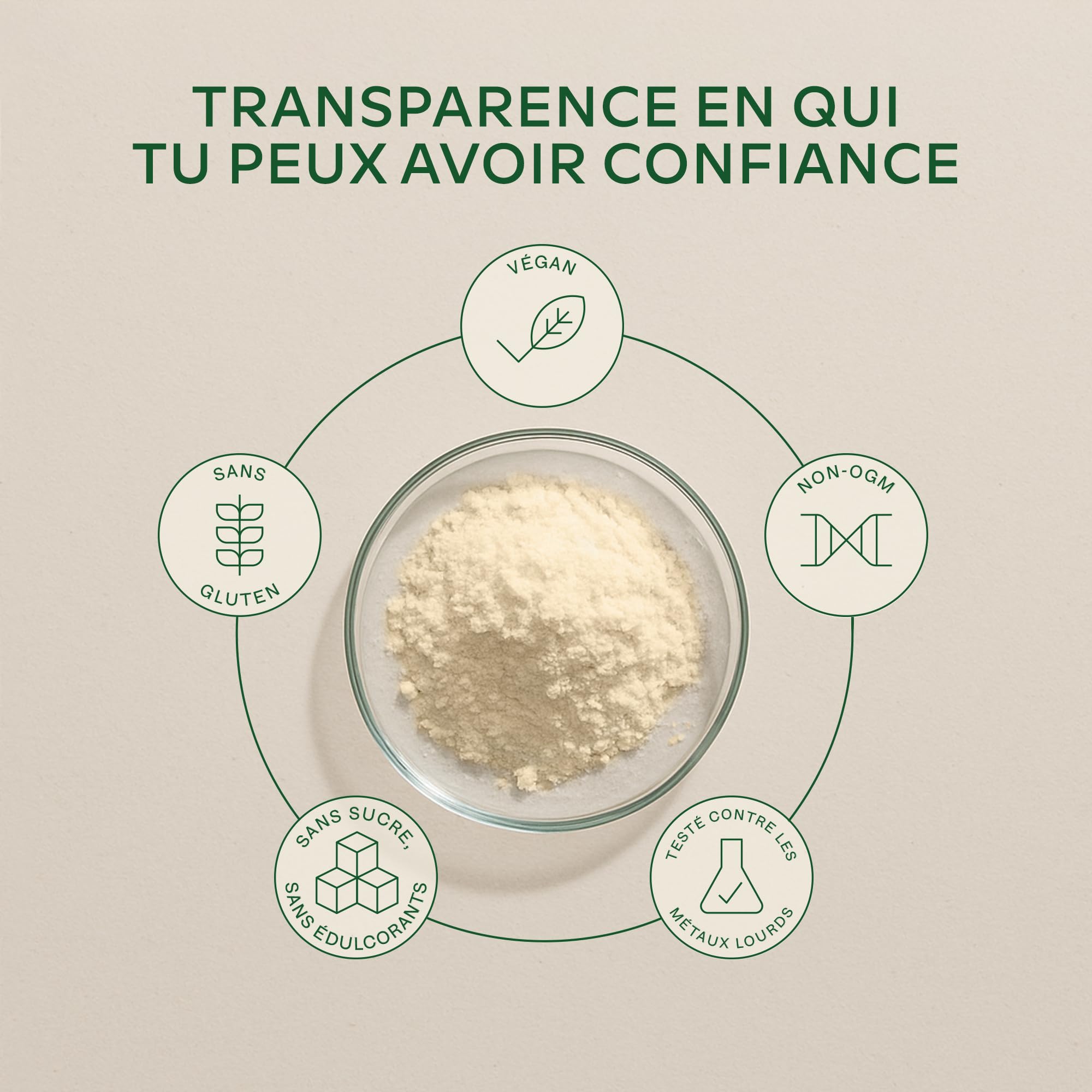 Proteine Vegetale en Poudre 750g DIGEZYME® | Proteine Vegan de Pois (Pea), Ris, Fèves, Tournesol - Protéines Sans Sucre, Sans Lactose - 9 acides aminés essentiels EEA et BCAA - Vegan Protein Powder
