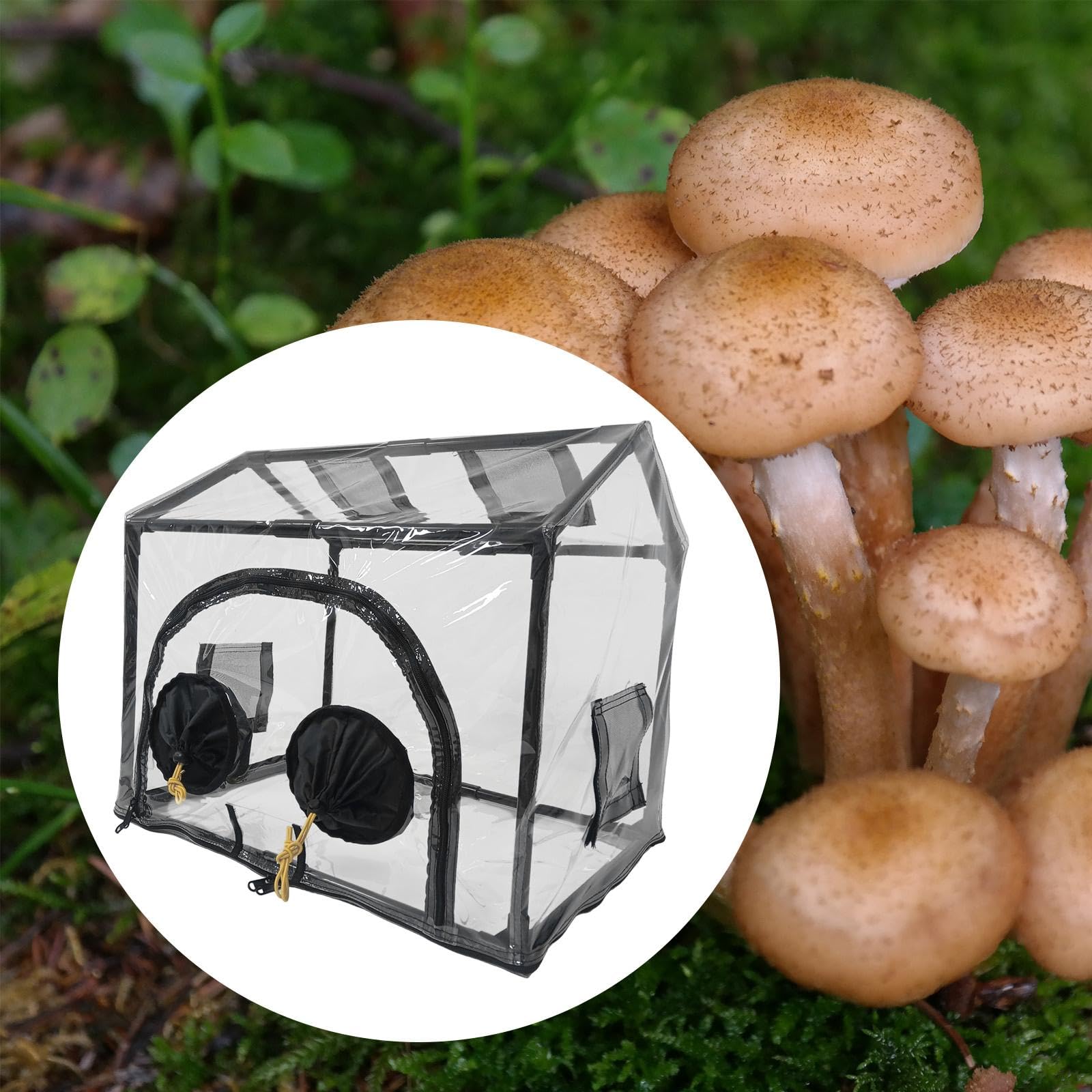 Pilzzuchtbeutel Pflanzcontainer Mini-gewächshaus Pilz Anzuchtsack Garten Pflanzbeutel mit Stabilem PVC Material für Balkon Terrasse Innengarten