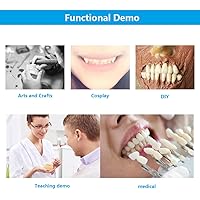 Vista 7 de 168 piezas dentales de resina sintética dental, 6 juegos de dientes falsos 22 A2 sombra superior inferior dental para dientes de terror de Halloween