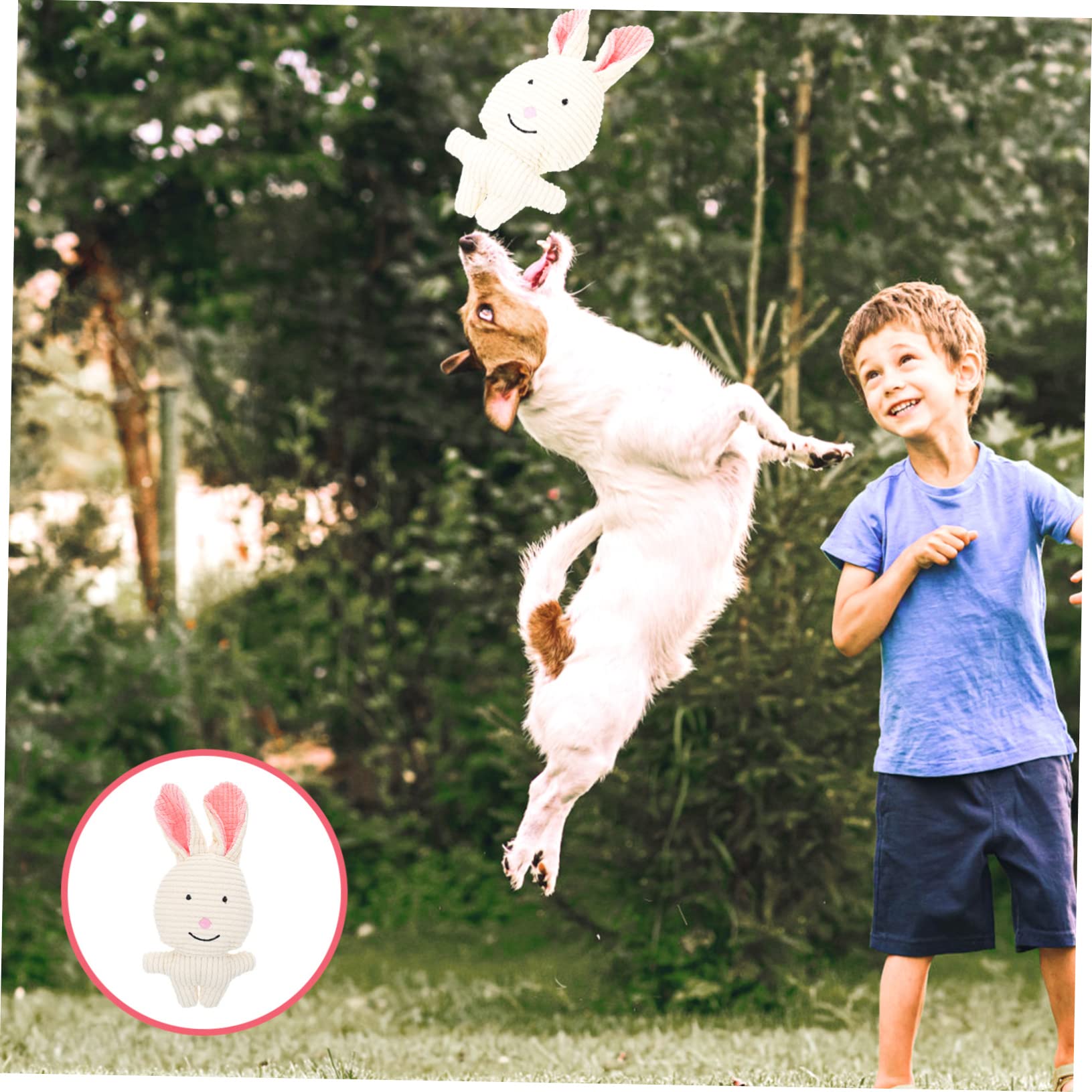 INOOMP 5stücke Plüsch Quietschspielzeug Für Hunde Robustes Kauspielzeug Aus Hochwertigem Material Für Spielen Und Zähneputzen Interaktives Spielzeug Für Kleine Und Mittelgroße