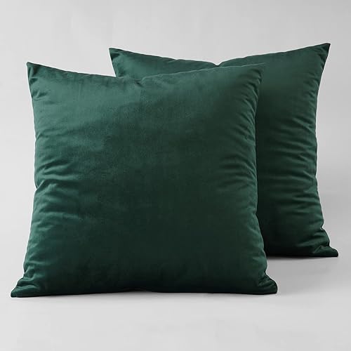 Miniatura 5 de HPD Half Price Drapes Funda de cojín 18 x 18 Heritage Plush Velvet - VPYC-179759-CC18PR - Par, verde forestal