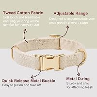 Vista 135 de Collar de Algodón Suave para Perro con Hebilla de Metal Ajustable de Servicio Pesado Cómodo Collares de Pana para Perros Pequeños, Medianos