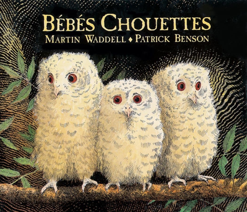 Bebes chouettes