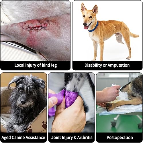 Miniatura 6 de ROZKITCH Arnés de apoyo para perros para mascotas, arnés de elevación trasera para patas traseras, arnés reflectante para perros, aprobado por