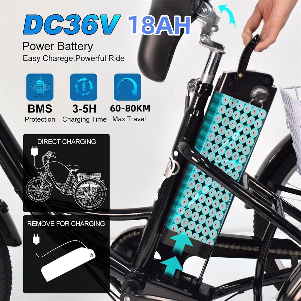 M300: triciclo elettrico per adulti da 250 W con batteria rimovibile da 36 V e 18Ah, ruote da 24 pollici, 3 marce e 7 velocità, ideale per il campeggio e gli spostamenti quotidiani