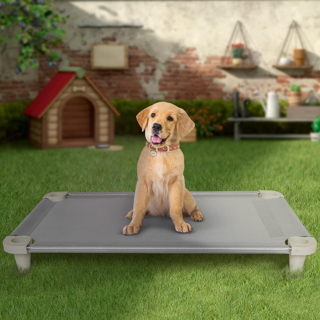 Cama Elevada para Perros Acrimet, con Malla Lavable y Transpirable, Estructura de Acero Inoxidable, para Uso Interior y Exterior (Tamaño: 102 x 61 x 11cm) (Color Gris) (1 Unidad)