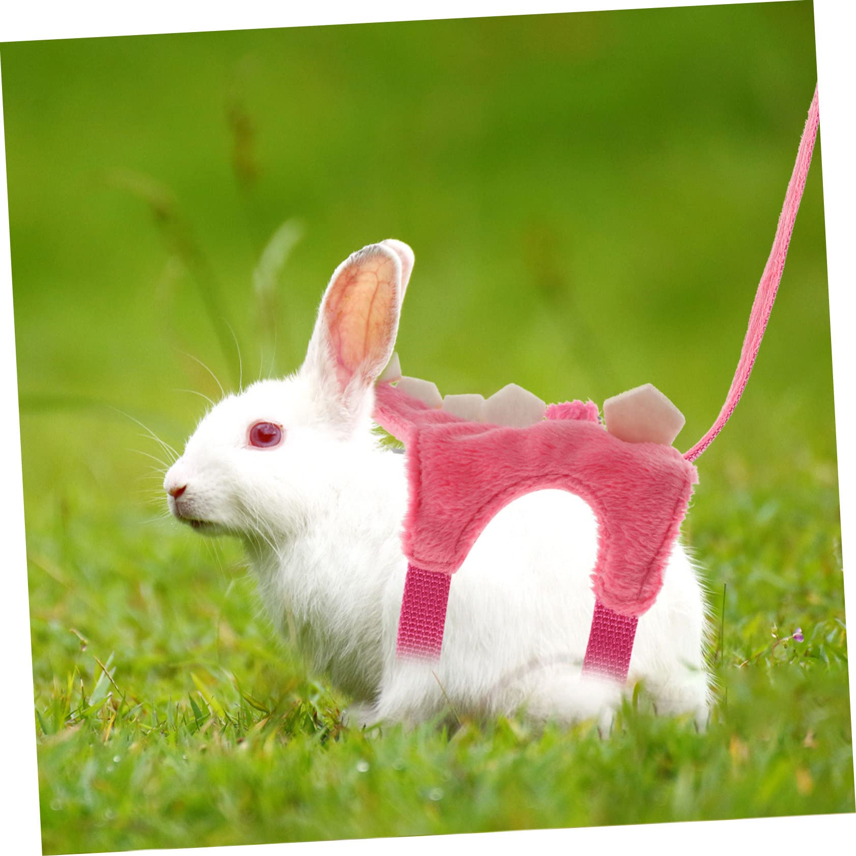 SUPVOX Kit 4 Guinzagli Da Trazione Per Furetti Gilet in Materiale Morbido Facile Da Riporre Sicurezza Per Animali Domestici