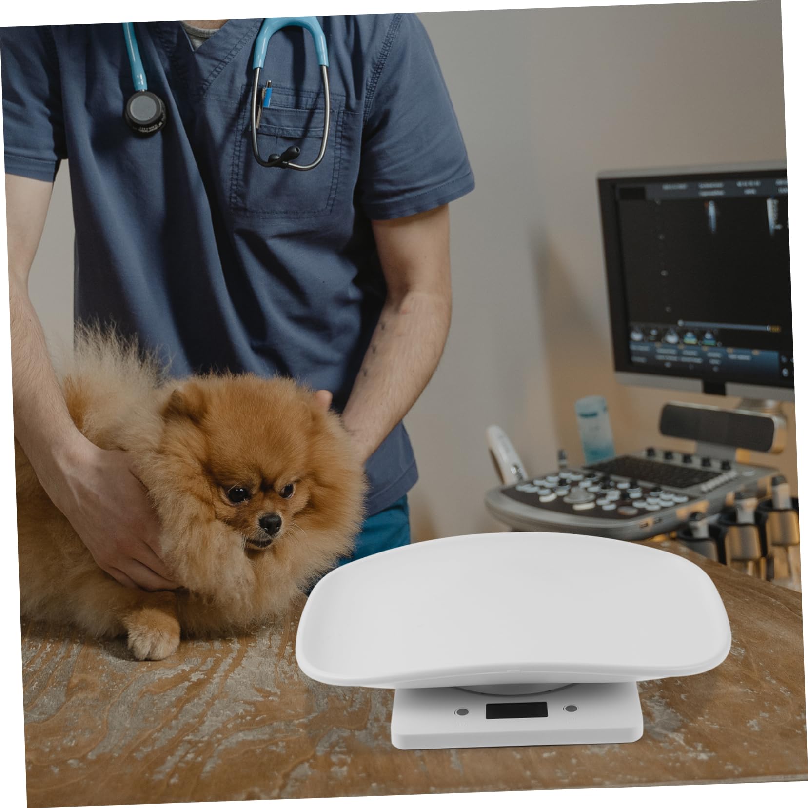 POPETPOP Bilancia Digitale Elettronica per Piccoli Animali Domestici Display LED Luminoso, Vassoio Plastica da 10 kg, Bilancia Elettronica Multiuso per Cuccioli e Gattini Uso Domestico e Veterinario