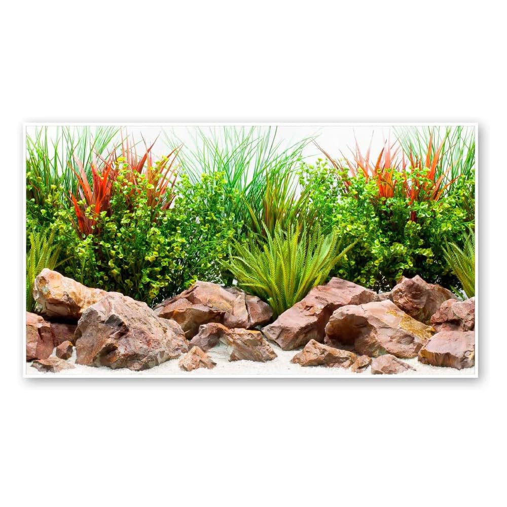 Amtra Sfondo Doppio River - Sfondo Poster per Acquario, Decorazione a Doppia Stampa HD, Double Face, Impermeabile, Formato 30x60 cm