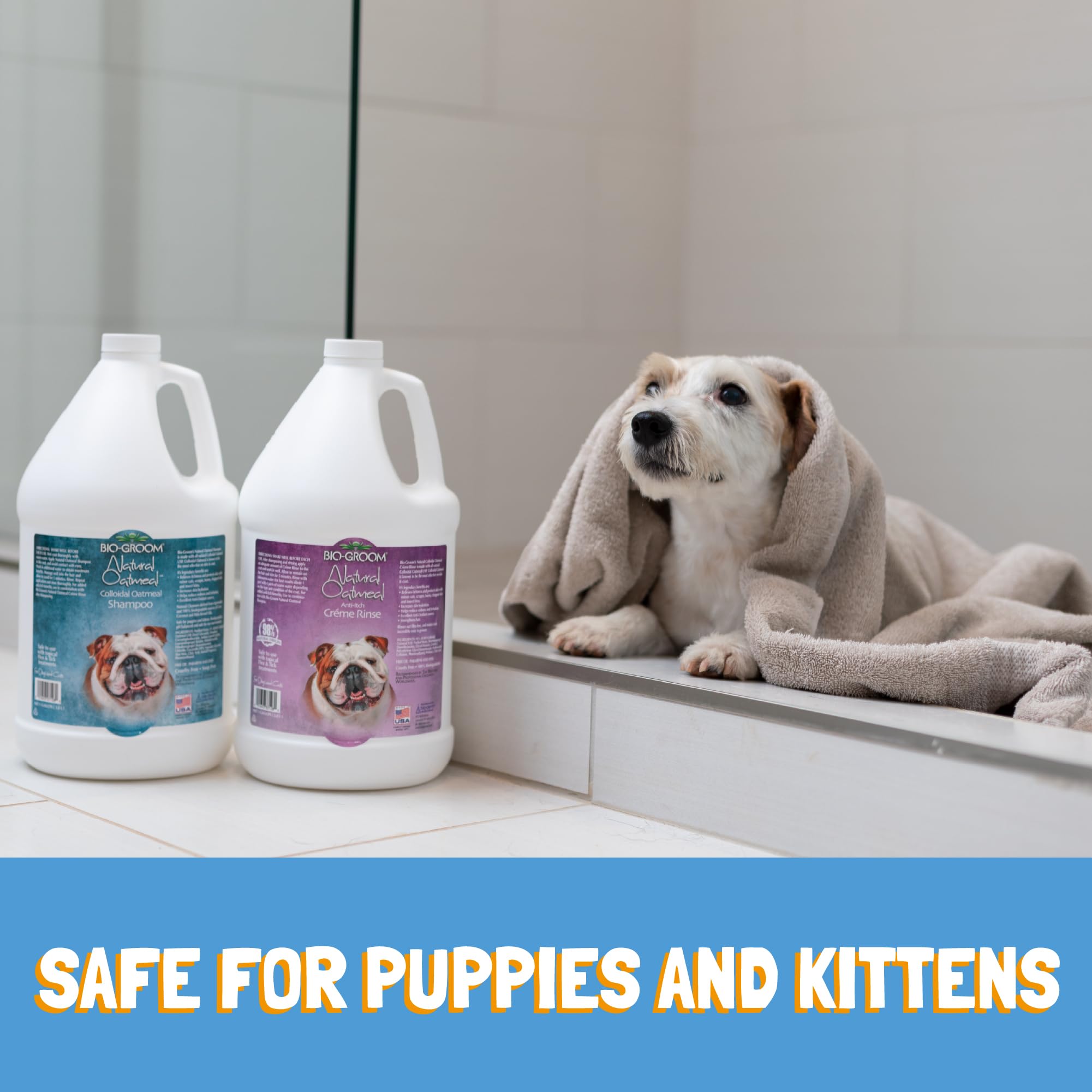 Colloidal Oatmeal Bath For Dogs Oatmeal Dog Shampoo For Sensitive