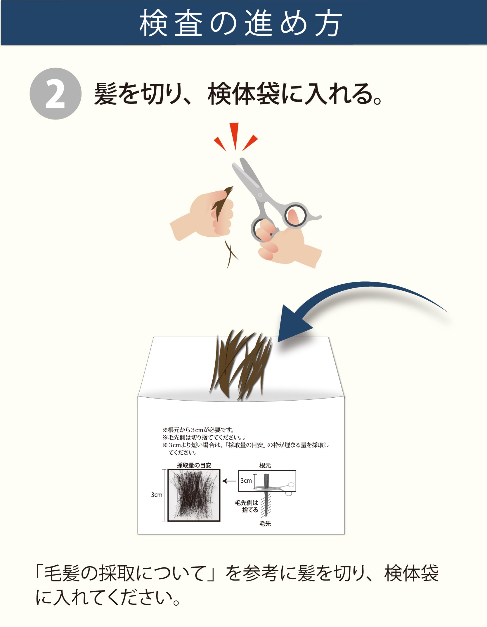 Amazon.co.jp: 【ら・べるびぃ予防医学研究所】毛髪ミネラル検査29元素