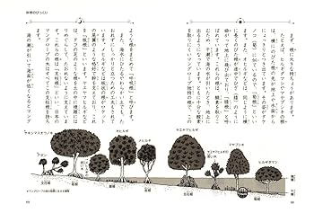 なぜ？どうして？全6巻セット シリーズ累計280万部突破!! 『せいかつのふしぎ なぜ？どうして