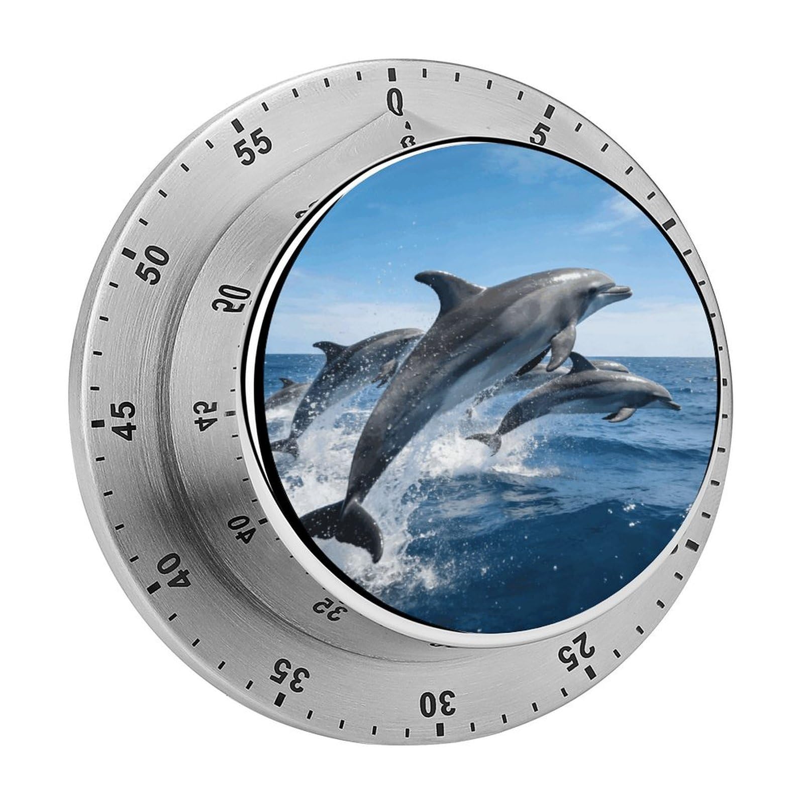 Dolphins Timer Exquisite Stainless Steel Body Desk Visual Timer with Loud Alarm 60-Minute Mechanical Countdown Timers Magnetic Backing Cooking Kitchen Timers for Work