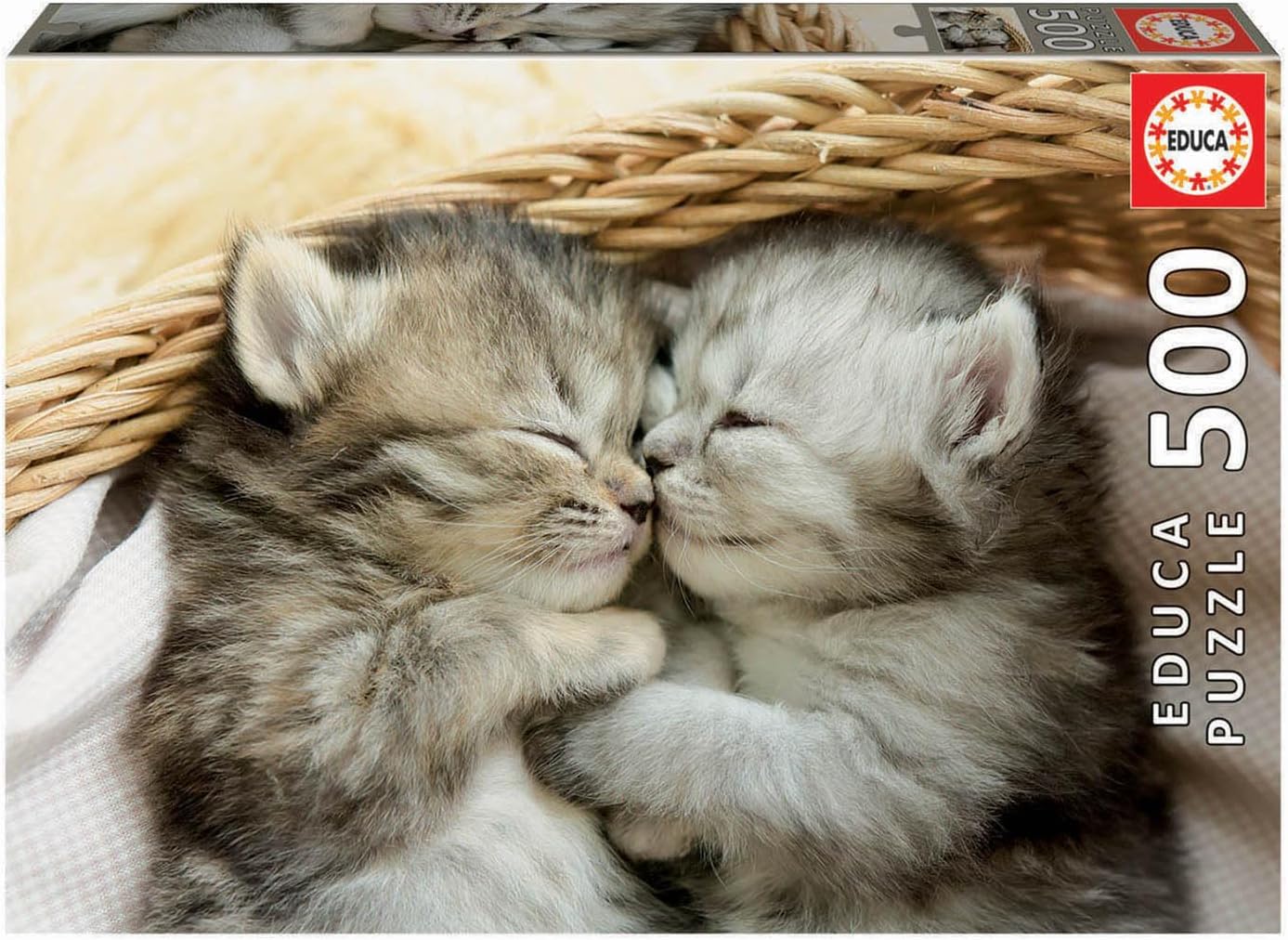 500 Sweet Kittens