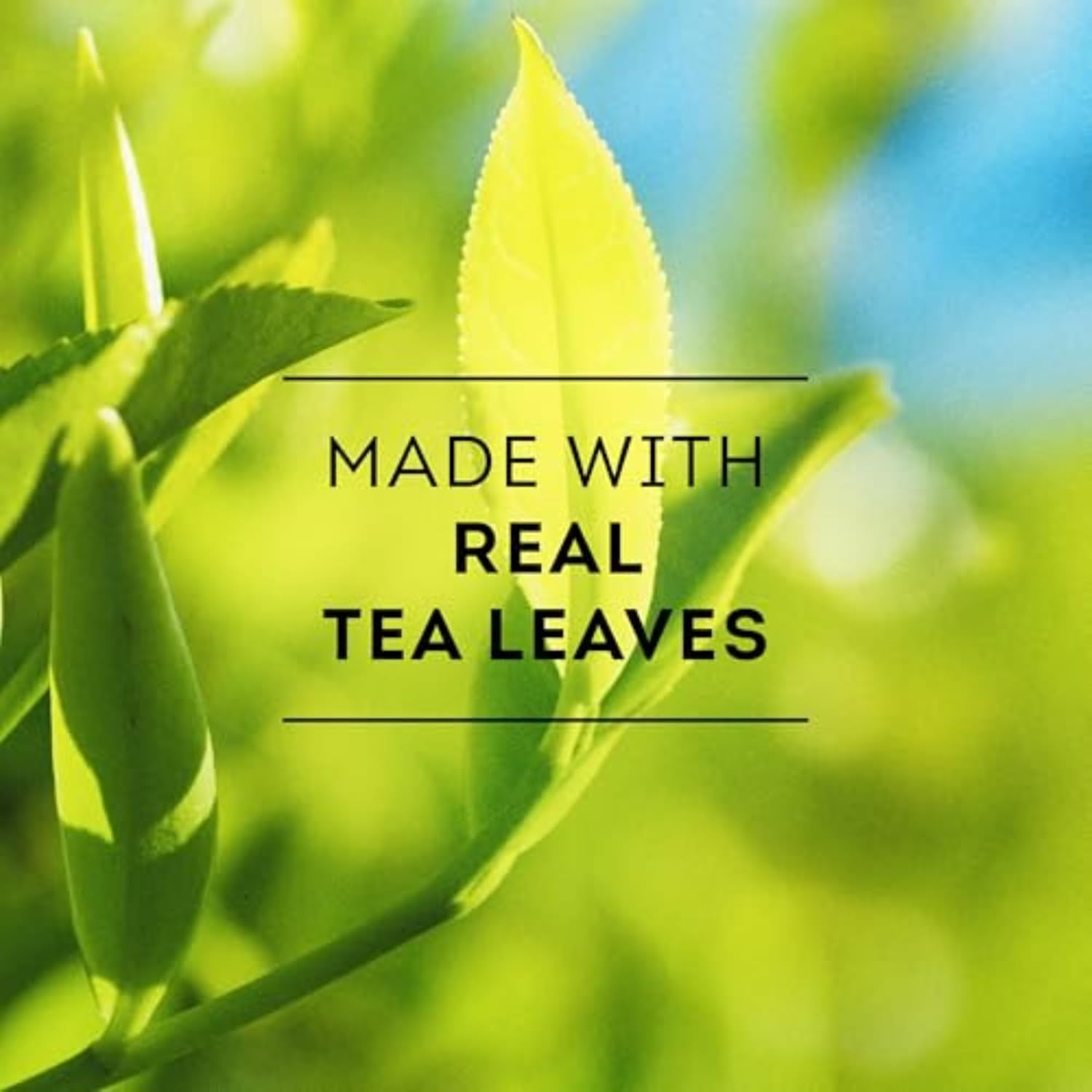 Lipton Unsweetened Iced Tea Bags, Gallon-Sized Zero Calories, 48 Total Tea Bags (24ct - Pack of 2)