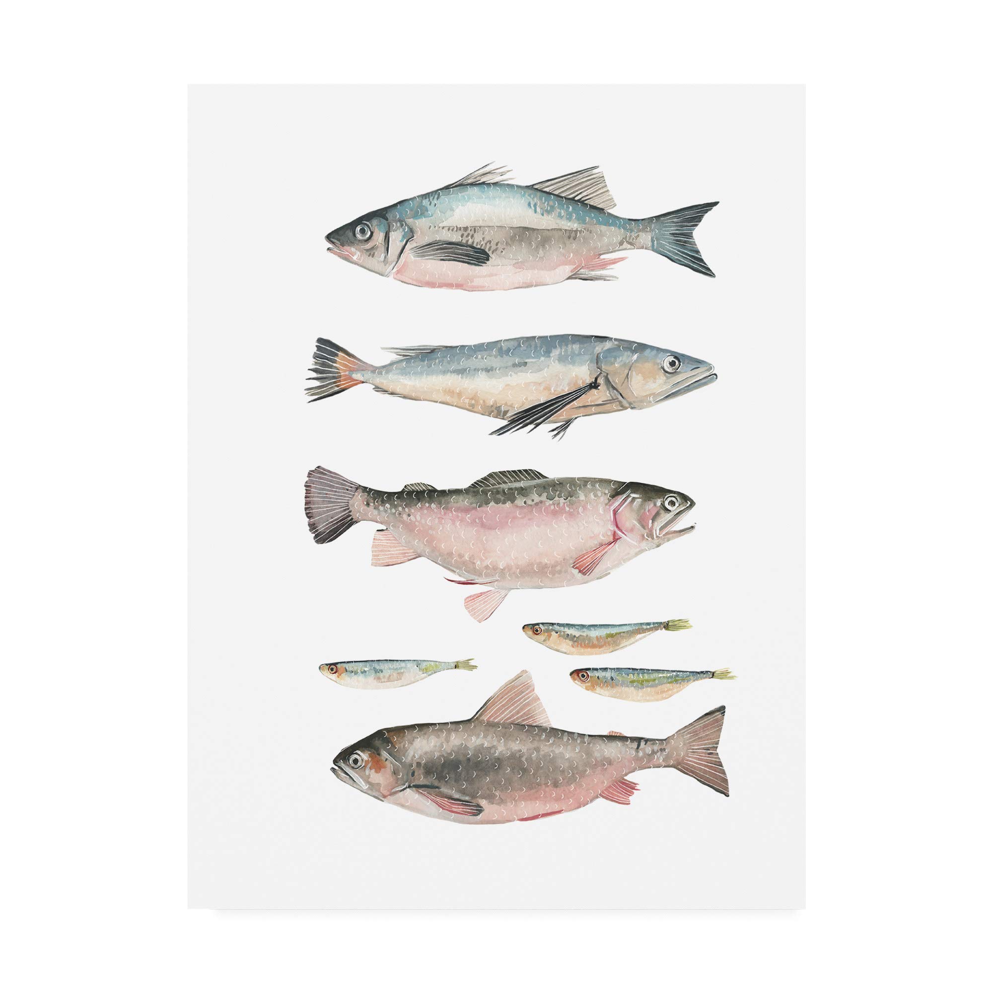 Trademark Fine Art Fish Composition I by Emma Scarvey, 24x32