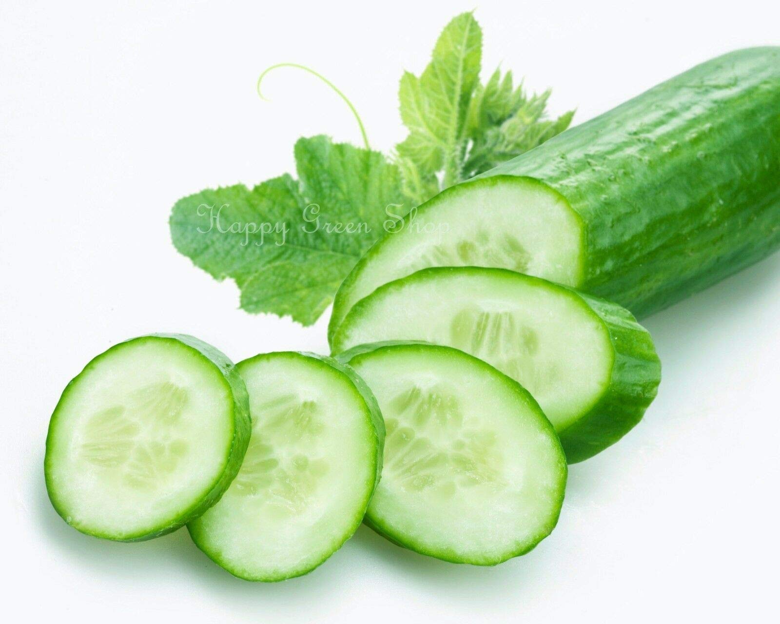 Cucumber King of Salad - 50 Seeds + Freebie + Plant Tag - Cucumis sativus, Green