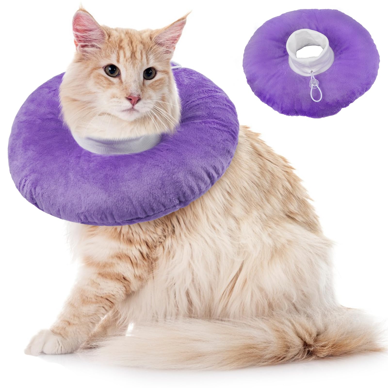Cat Recovery Collars & Cones
