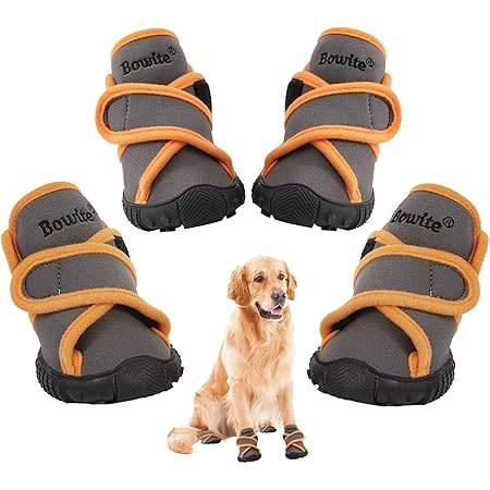dog boots for walking