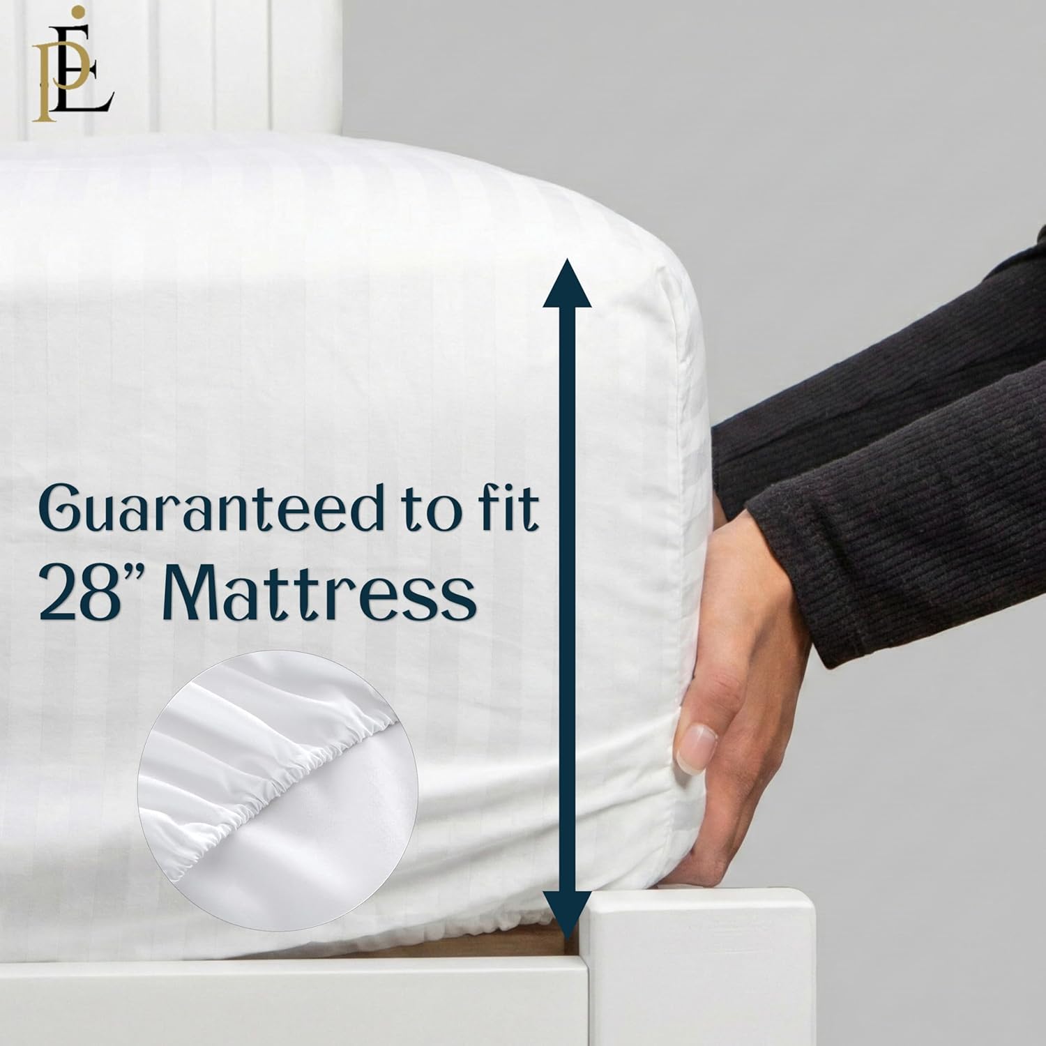 800 Thread Count Egyptian Cotton 3-PC Striped Set (Fitted Sheet & 2 Pillowcases) - Olympic Queen, Silver Gray Stripe - 28" Extra Deep Pocket Bedding