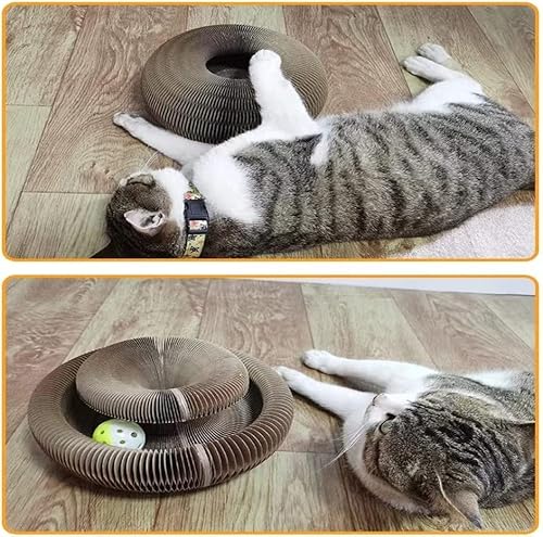 Arranhador mágico para gatos FEIYU BUY, brinquedo com sino, afiação de garras, armação divertida par