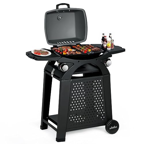 BIG HORN OUTDOORS 2 IN 1 Propane Grill