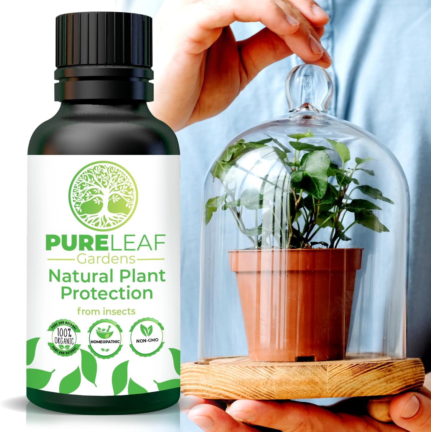 Natural Plant Protection - Promotes Healthy Growing Plants - Indoor and Outdoor Use for Your Garden's Health