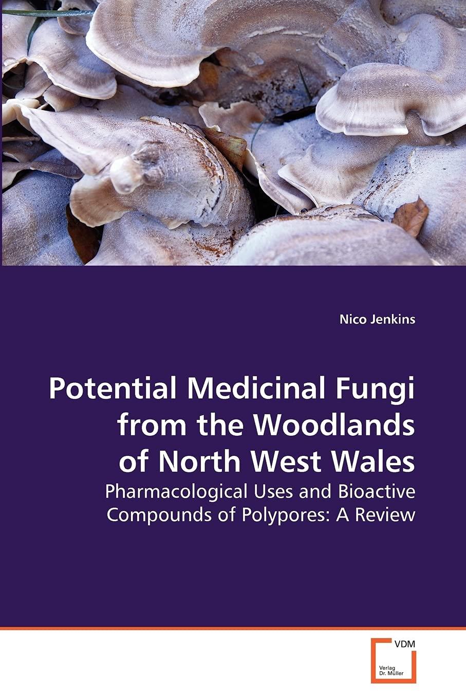 Potential Medicinal Fungi from the Woodlands of North West Wales: Pharmacological Uses and Bioactive Compounds of Polypores: A Review