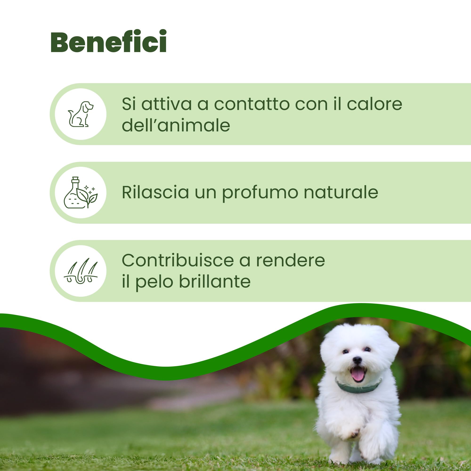 CAMON | Collare Olio di Neem per Cani di Taglia Piccola, 35cm, Protezione Naturale