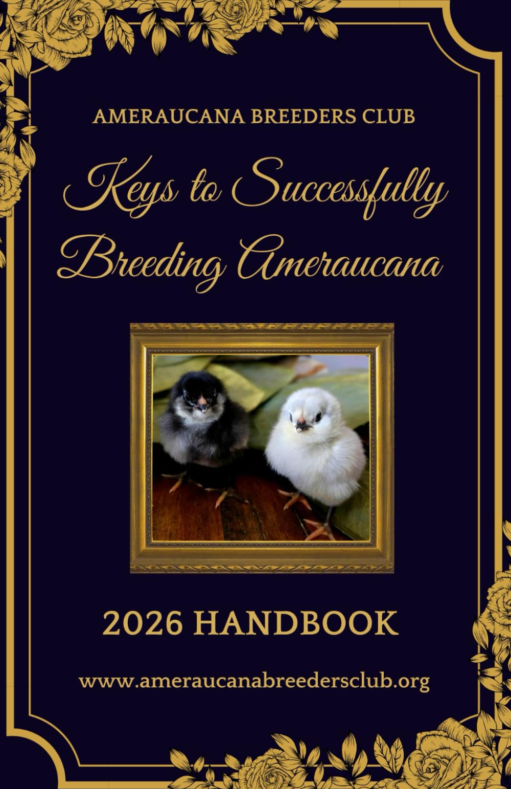 Keys to Successfully Breeding Ameraucana