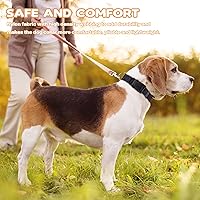Vista 5 de PuppyDoggy Collar ajustable de nailon negro para perro, collar martingala para perros con hebilla de liberación rápida, collar clásico para mascotas