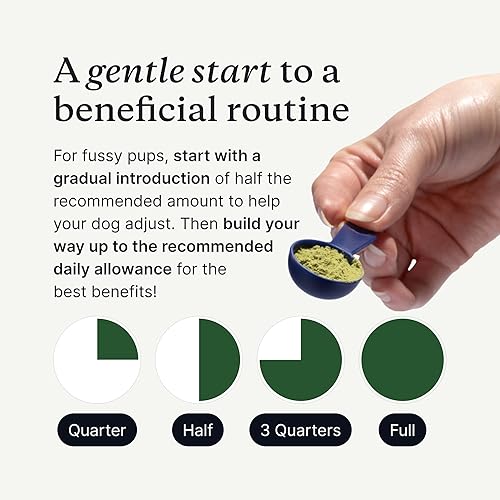 Miniatura 10 de PetLab Co. ProBright Advanced Polvo dental Ambientador de aliento de perro Limpieza de dientes fácil Se dirige al sarro y el mal aliento El