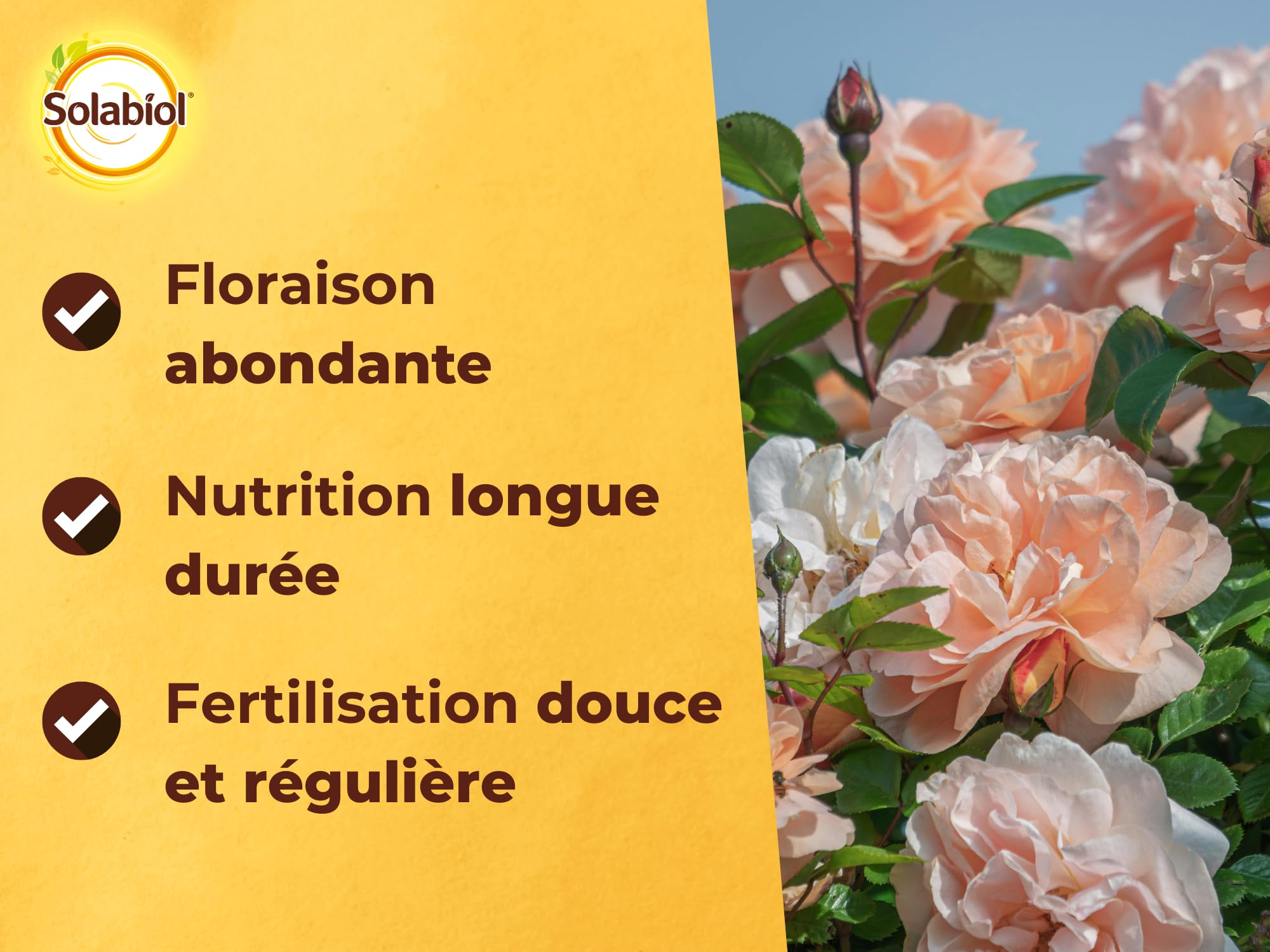 SOLABIOL Engrais Rosiers Arbustes Fleurs Traitement Insectes Maladies Nutrition Longue Durée Protection