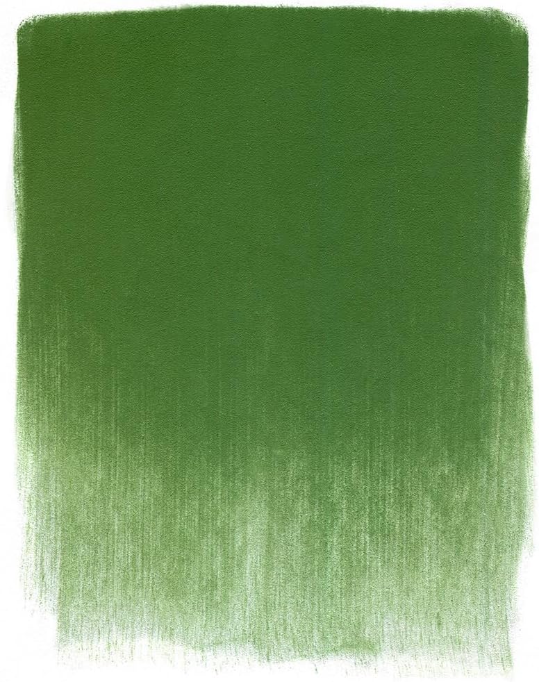 PanPastel Artist Pastels by GOLDEN, Chromium Oxide Green, 2.44” / 62mm Pan Diameter, Professional Artist Pastels, Unique Pan Format (cake-like)