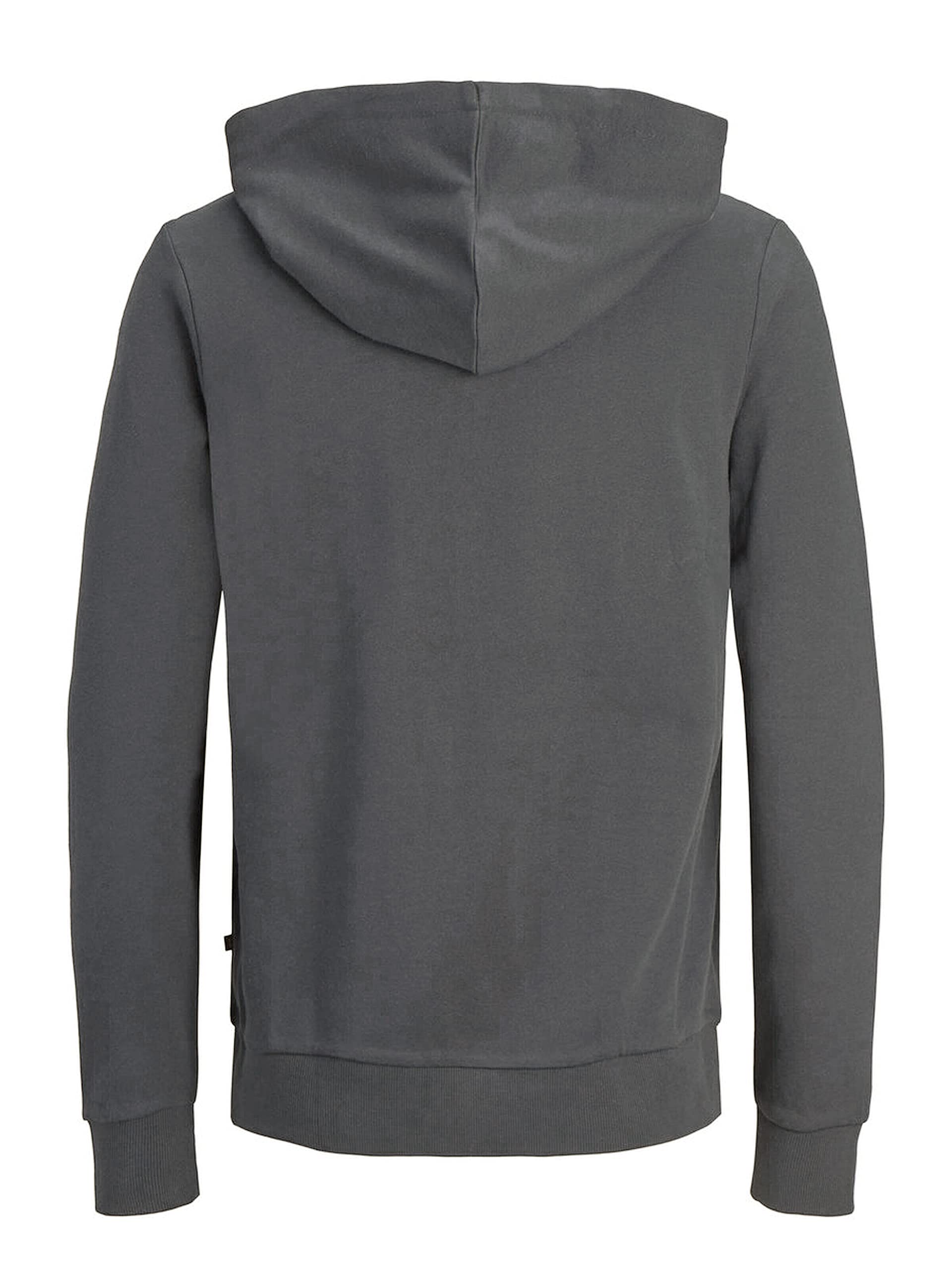 JACK & JONES Jjeholmen Sweat Zip Hood Plus Noos Sudadera para Hombre