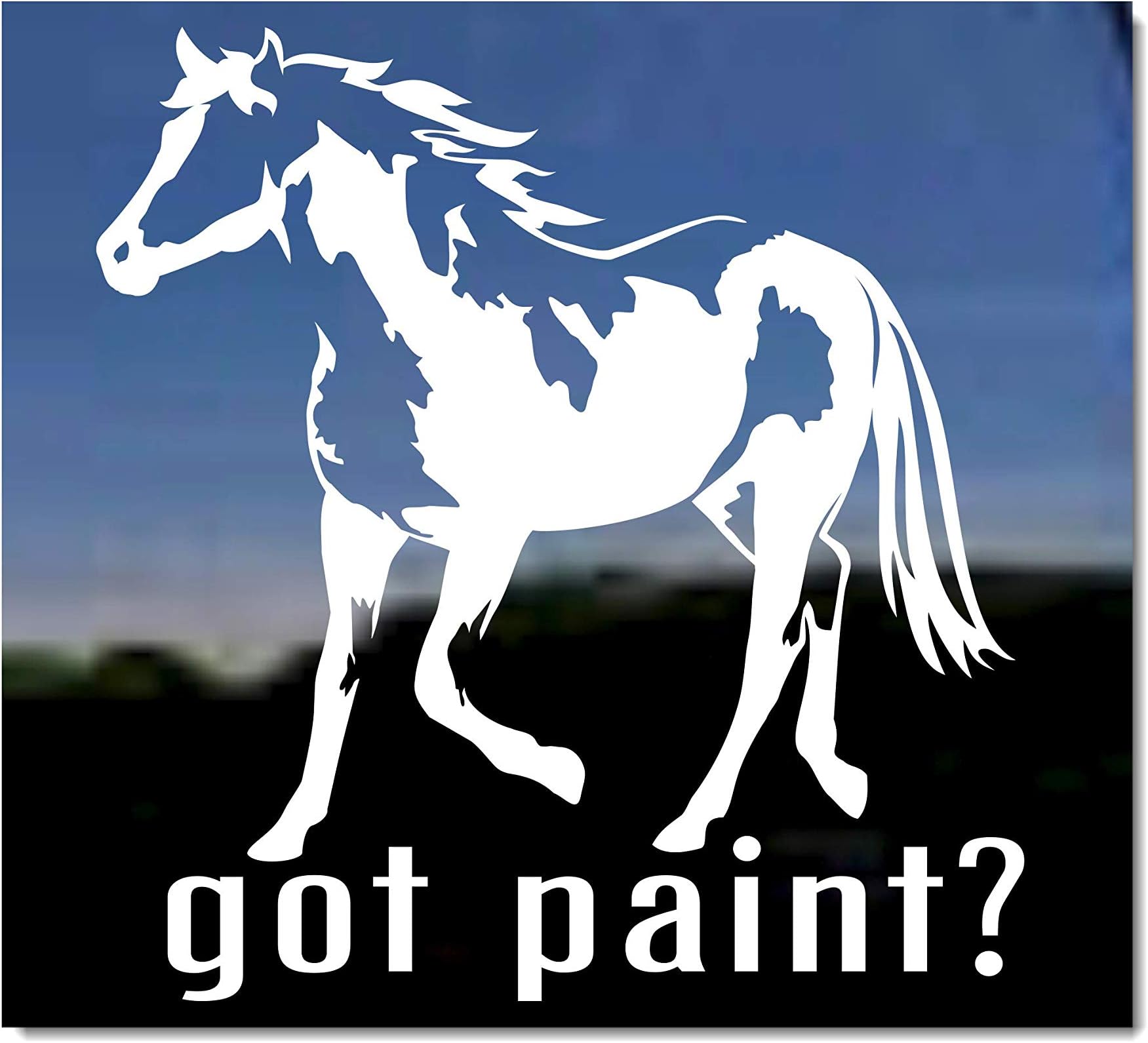 Got Paint? American Paint Horse Trailer Vinyl Window Decal