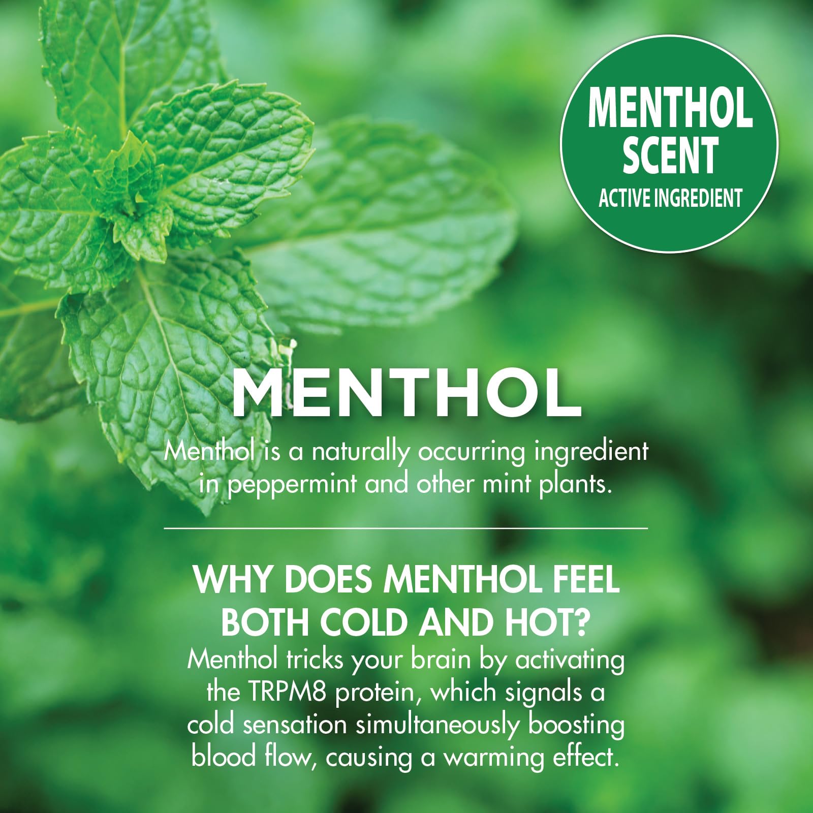HealthWise 16% Menthol Pain Relief Spray, 4 oz — Amazon image 9