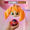 Miraculous Ladybug, 4-1 Capsule Collectible Toy, [PACK OF 2], Surprise Miraball with expanding Plush Kwami, Collectible Character Metal Case, Glittery Stickers & hanging Display Ribbon