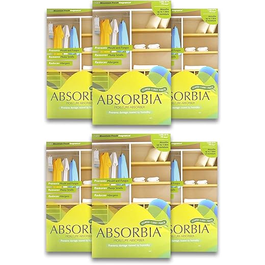 Absorbia Moisture Absorber Mountain Fresh Hanging Pouch Pack