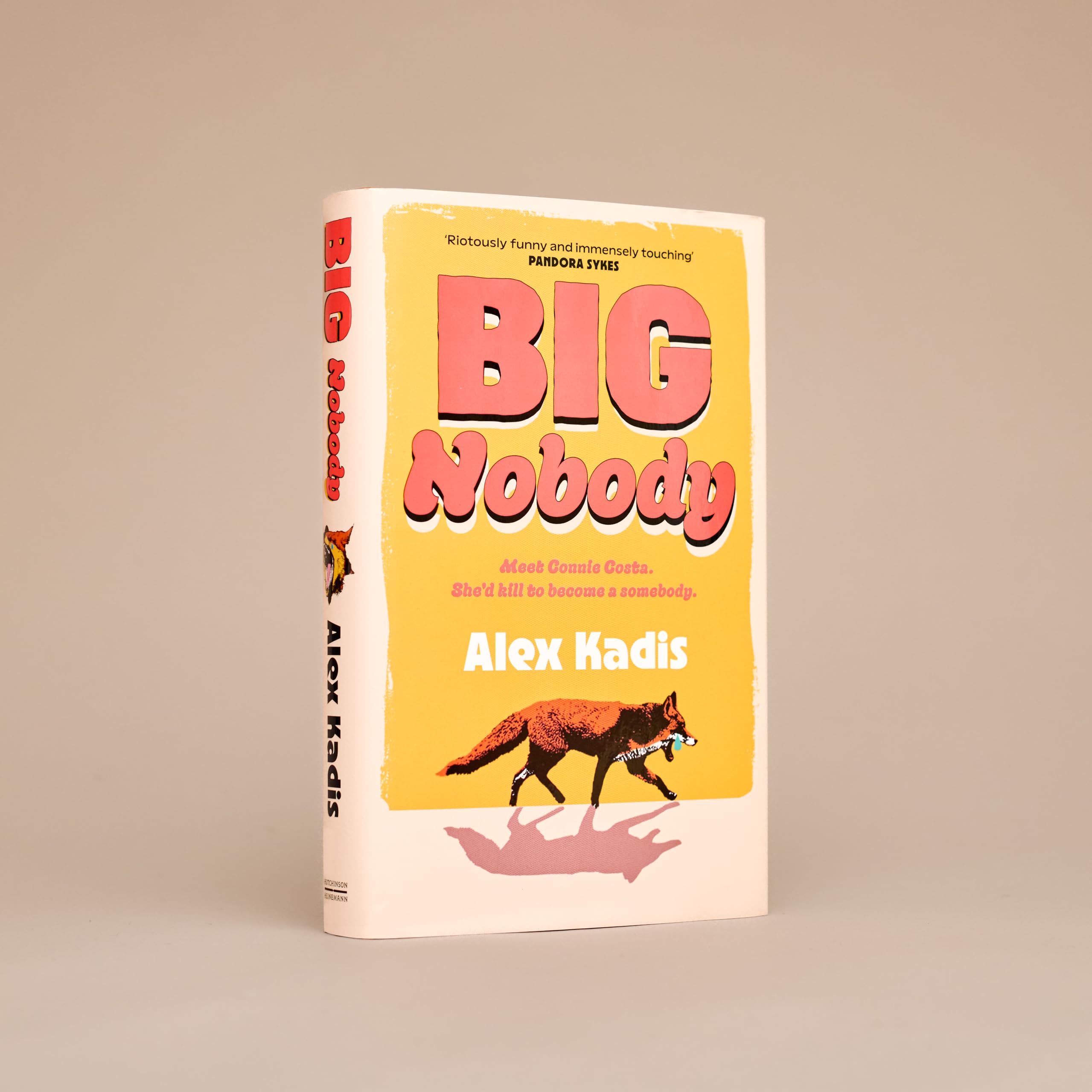 Big Nobody: The darkly funny new coming-of-age novel for fans of Bella Mackie and Derry Girls