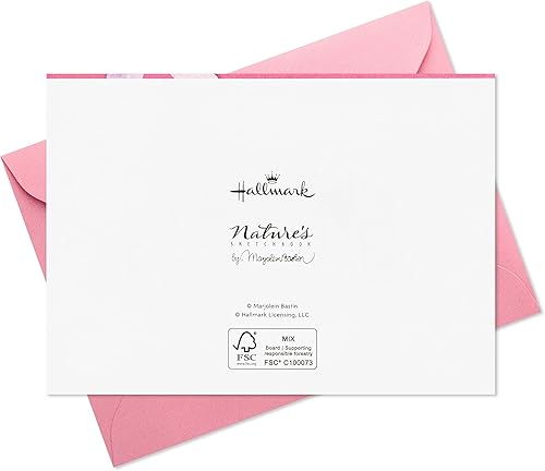 Miniatura 7 de Hallmark Marjorlein Bastin - Tarjetas de notas florales (20 tarjetas en blanco con sobres) Mariposa y colibrí