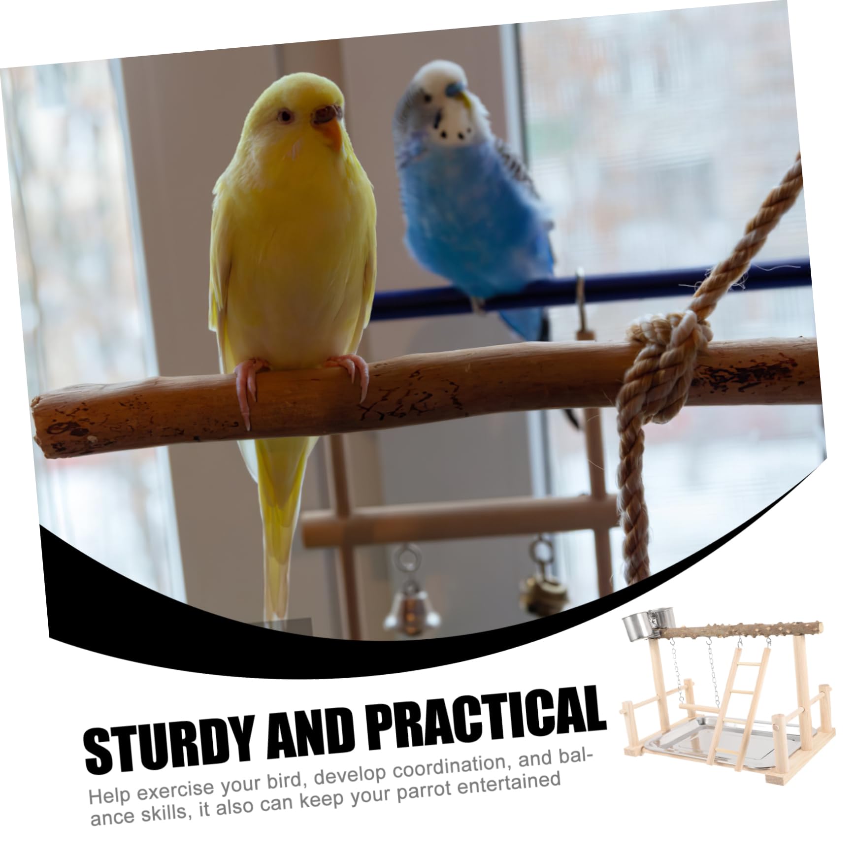 Kisangel Soporte para Loros de Madera Natural, Percha de Entrenamiento para Pájaros, Fomenta el Ejercicio y Alimentación, Adecuado para Aves Domésticas