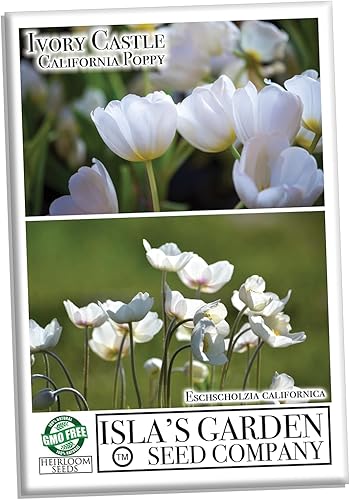 Miniatura 2 de Semillas blancas de amapola de California para plantar "Ivory Castle", más de 1000 semillas por paquete, semillas de jardín de Isla (semillas de
