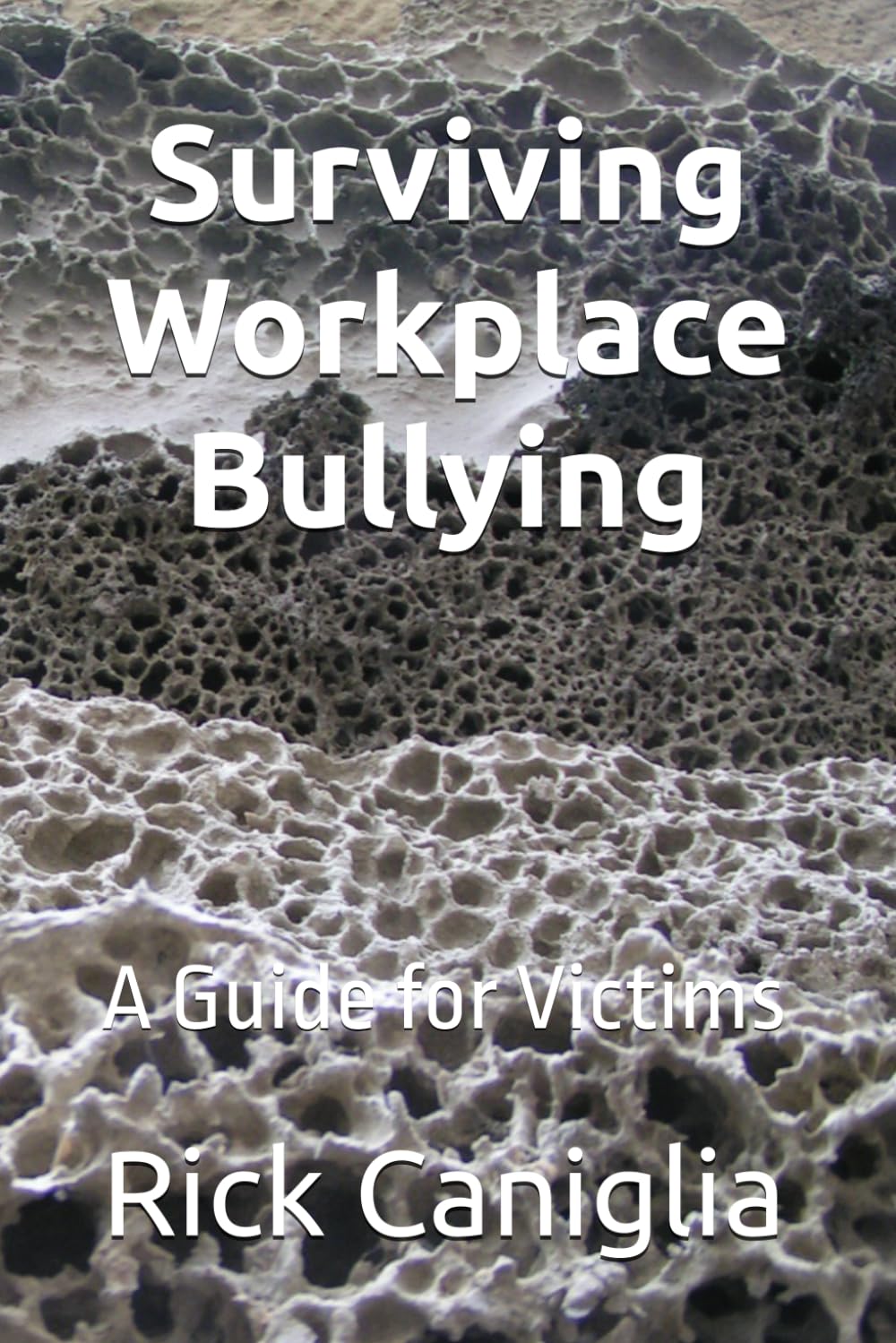 Surviving Workplace Bullying: A Guide for Victims