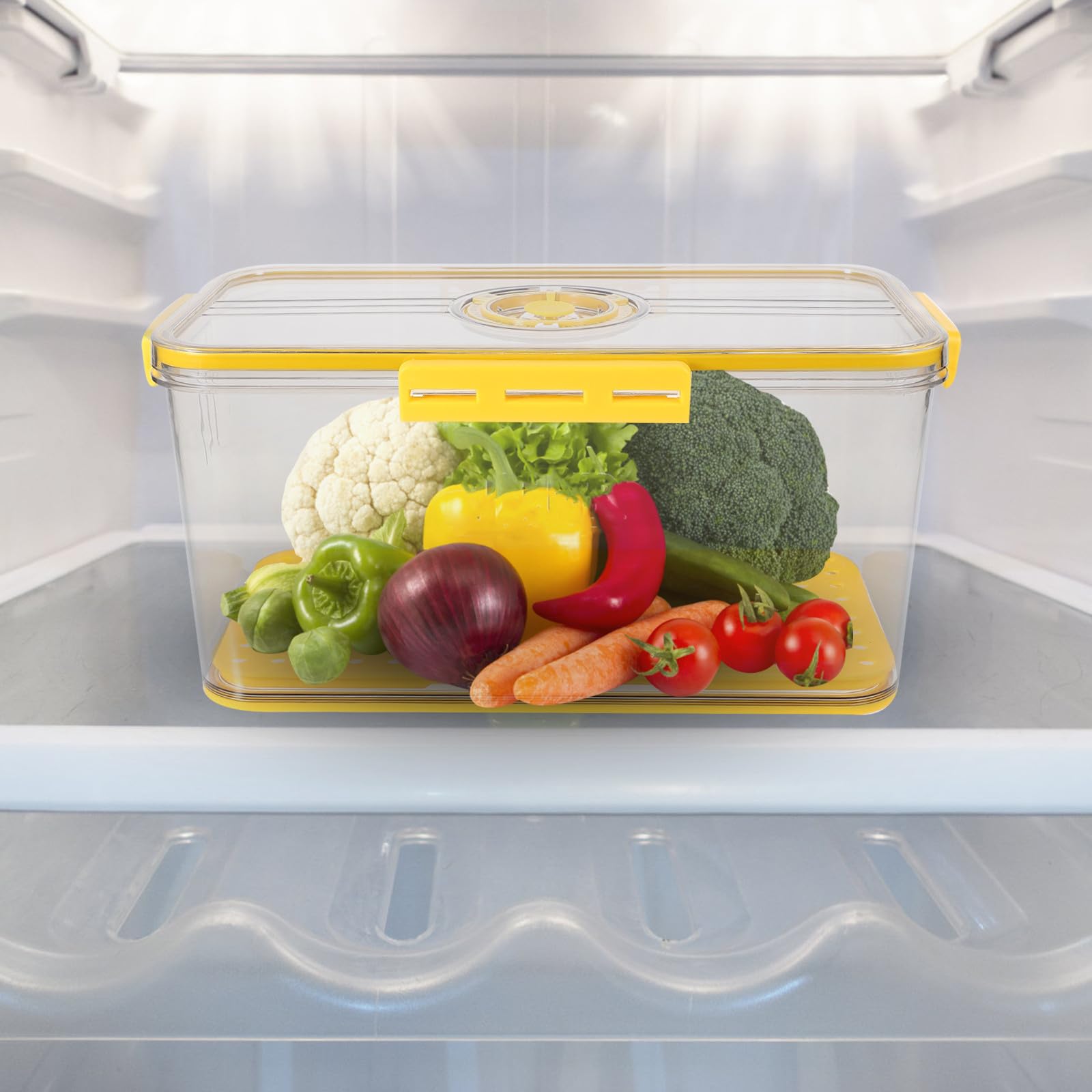 SOLUSTRE Contenitore per Alimenti Ermetico con Coperchio a Pet Pp
