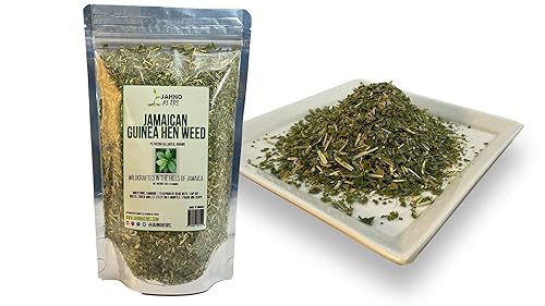 Miniatura 4 de Hierba de gallina de Guinea Jamaicana, hierbas de Anamu silvestres, hojas y tallo