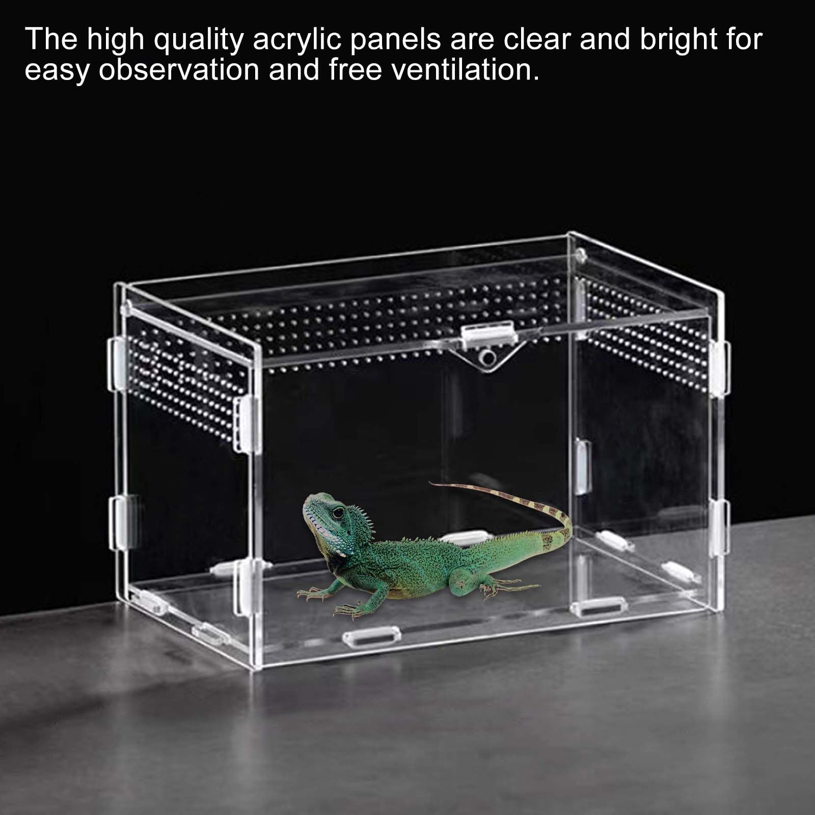 Boîte d'alimentation pour reptiles en acrylique - 20 x 12 x 12 cm - Mini terrarium transparent - Avec tweezer en acier inoxydable - Transparence totale à 360 ° - Pour petits reptiles et araignées
