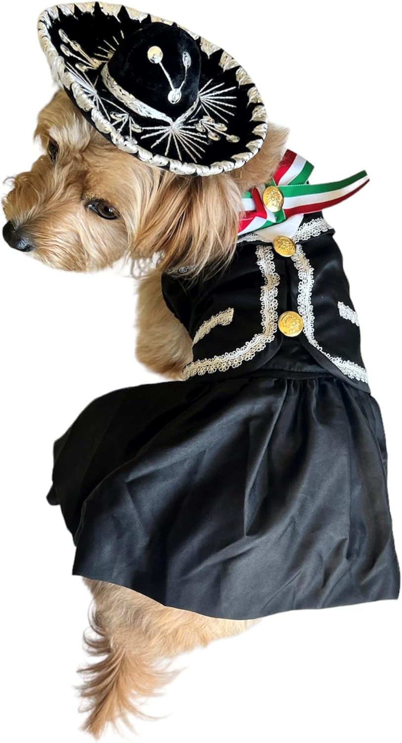 Mariachi Mexican Pet Dog Costume w/Sombrero Charro for Cindo de Mayo or Fiesta Decorations (Medium)