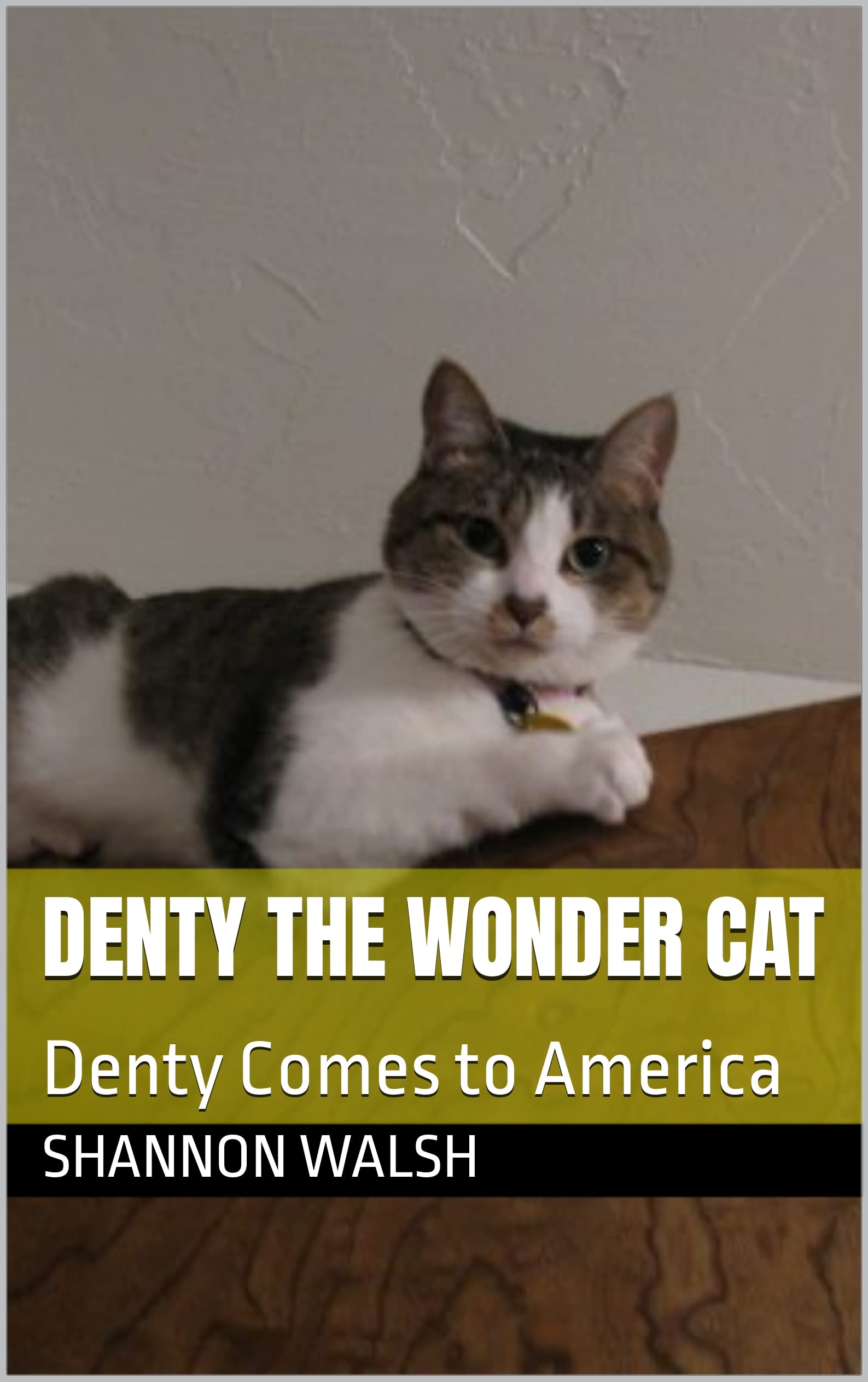 Denty the Wonder Cat: Denty Comes to America