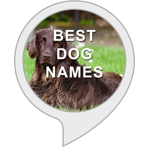 Best Dog Names Alexa Skills